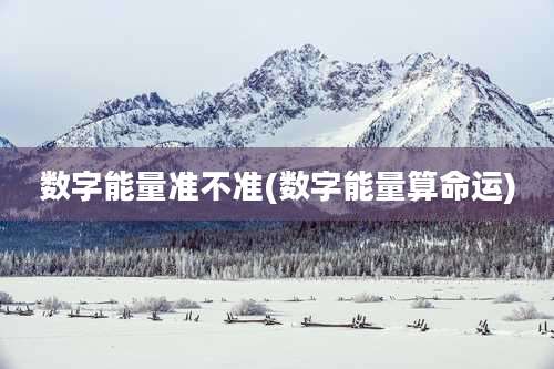 数字能量准不准(数字能量算命运)