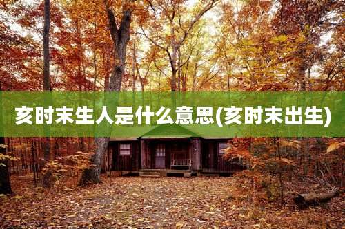 亥时末生人是什么意思(亥时末出生)