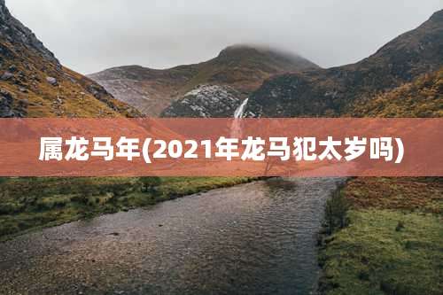 属龙马年(2021年龙马犯太岁吗)