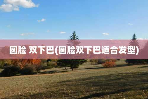 圆脸 双下巴(圆脸双下巴适合发型)