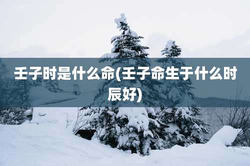 壬子时是什么命(壬子命生于什么时辰好)