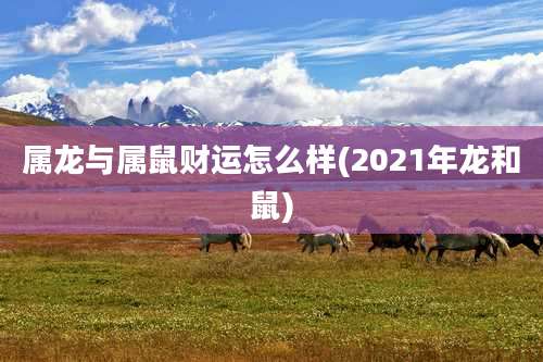 属龙与属鼠财运怎么样(2021年龙和鼠)