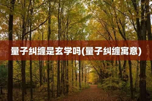 量子纠缠是玄学吗(量子纠缠寓意)