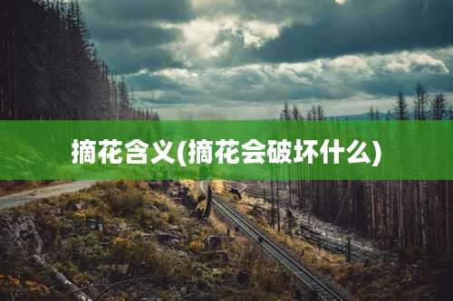 摘花含义(摘花会破坏什么)