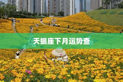 天蝎座下月运势查