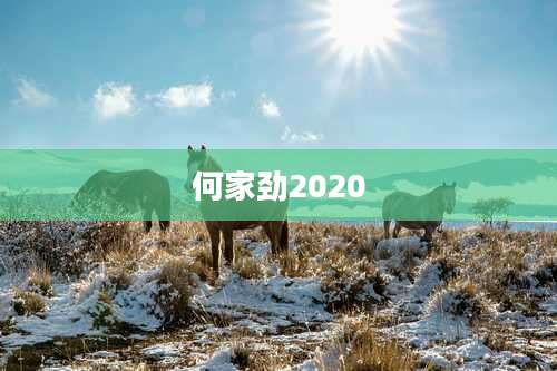 何家劲2020