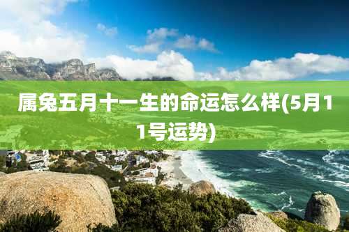 属兔五月十一生的命运怎么样(5月11号运势)