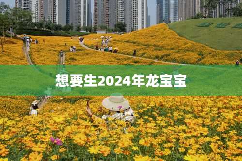 想要生2024年龙宝宝