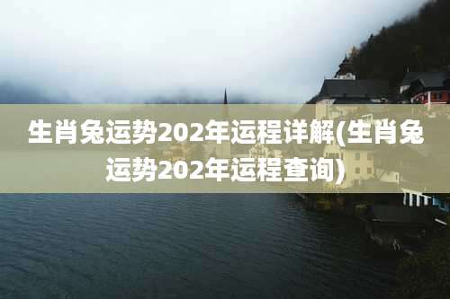 生肖兔运势202年运程详解(生肖兔运势202年运程查询)