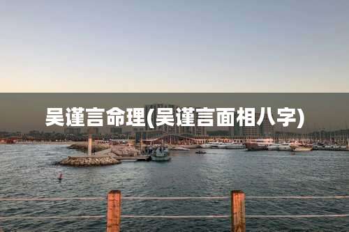 吴谨言命理(吴谨言面相八字)