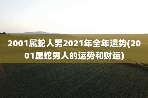 2001属蛇人男2021年全年运势(2001属蛇男人的运势和财运)
