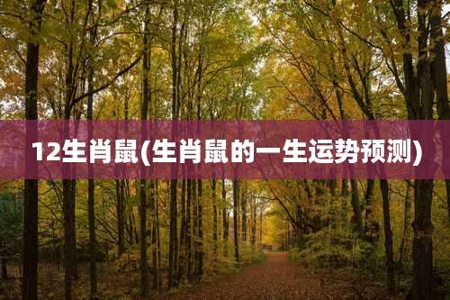 12生肖鼠(生肖鼠的一生运势预测)