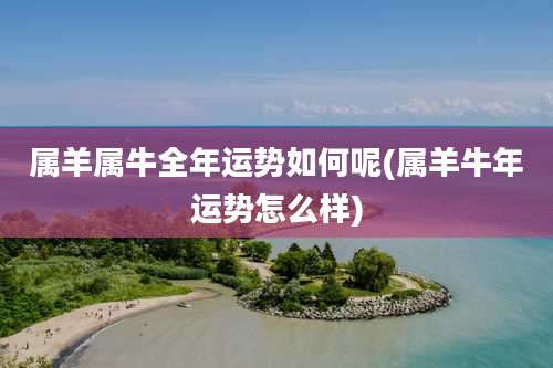 属羊属牛全年运势如何呢(属羊牛年运势怎么样)