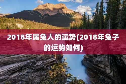 2018年属兔人的运势(2018年兔子的运势如何)