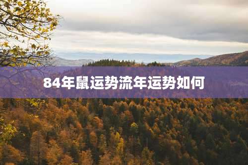 84年鼠运势流年运势如何