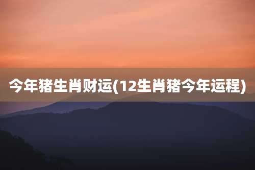 今年猪生肖财运(12生肖猪今年运程)
