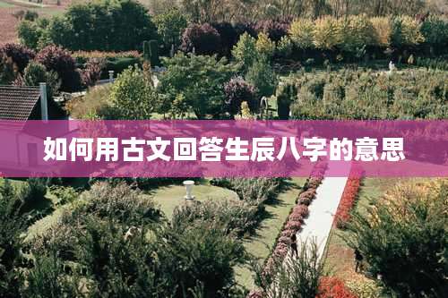 如何用古文回答生辰八字的意思