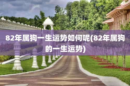 82年属狗一生运势如何呢(82年属狗的一生运势)