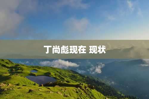 丁尚彪现在 现状