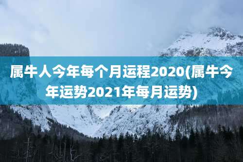 属牛人今年每个月运程2020(属牛今年运势2021年每月运势)