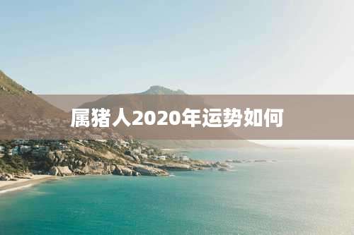 属猪人2020年运势如何