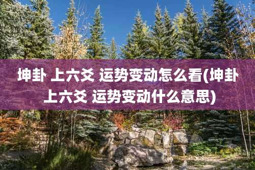 坤卦 上六爻 运势变动怎么看(坤卦 上六爻 运势变动什么意思)