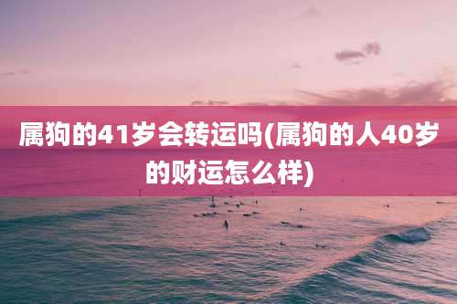 属狗的41岁会转运吗(属狗的人40岁的财运怎么样)