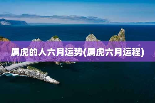 属虎的人六月运势(属虎六月运程)