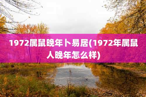 1972属鼠晚年卜易居(1972年属鼠人晚年怎么样)