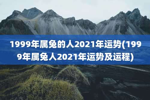 1999年属兔的人2021年运势(1999年属兔人2021年运势及运程)