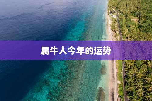 属牛人今年的运势