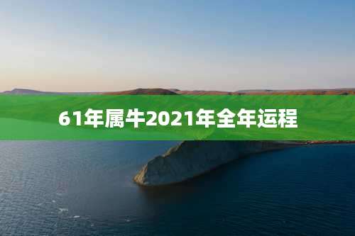61年属牛2021年全年运程