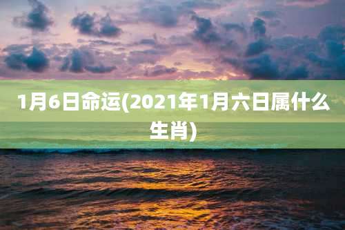 1月6日命运(2021年1月六日属什么生肖)