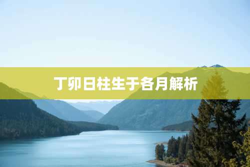 丁卯日柱生于各月解析