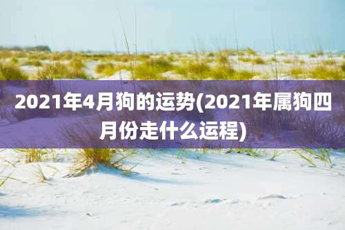 2021年4月狗的运势(2021年属狗四月份走什么运程)