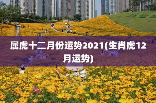 属虎十二月份运势2021(生肖虎12月运势)