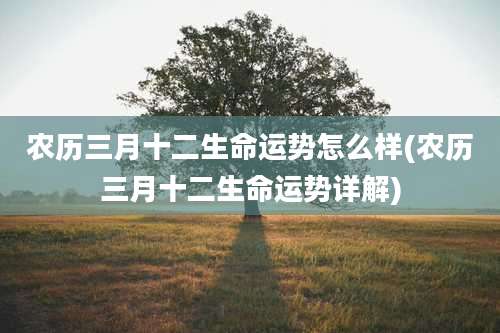 农历三月十二生命运势怎么样(农历三月十二生命运势详解)