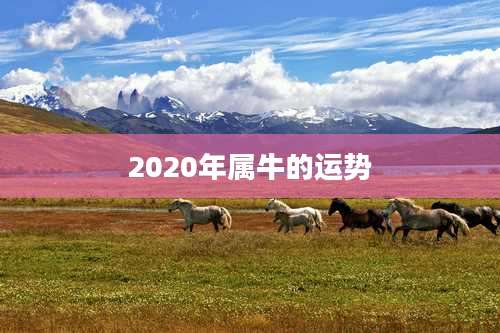 2020年属牛的运势