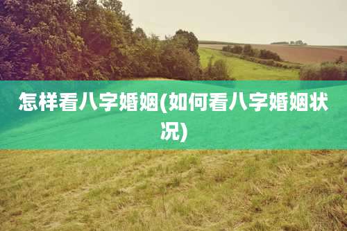 怎样看八字婚姻(如何看八字婚姻状况)