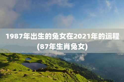 1987年出生的兔女在2021年的运程(87年生肖兔女)