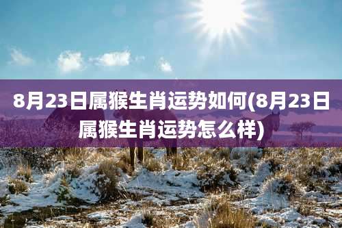 8月23日属猴生肖运势如何(8月23日属猴生肖运势怎么样)