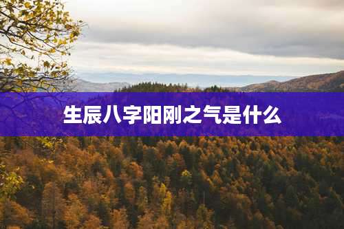 生辰八字阳刚之气是什么