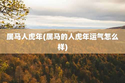 属马人虎年(属马的人虎年运气怎么样)