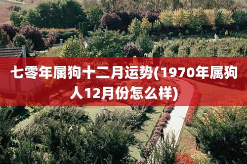 七零年属狗十二月运势(1970年属狗人12月份怎么样)