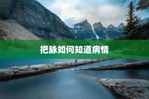 把脉如何知道病情