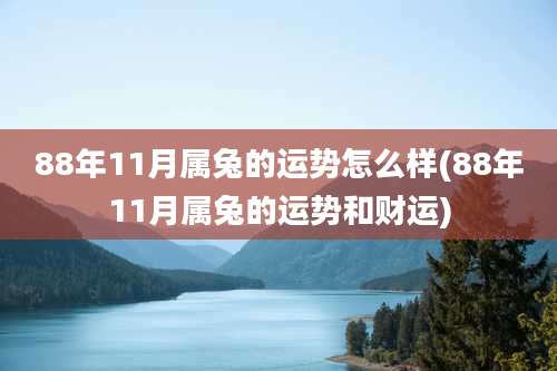 88年11月属兔的运势怎么样(88年11月属兔的运势和财运)