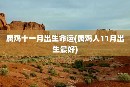 属鸡十一月出生命运(属鸡人11月出生最好)