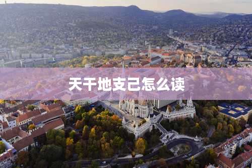 天干地支己怎么读