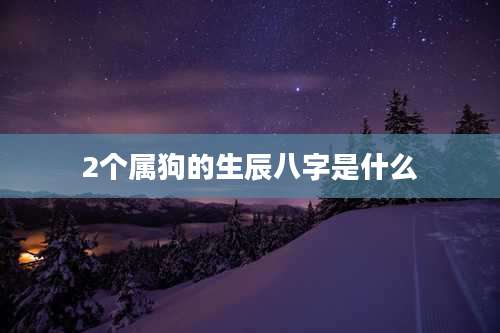 2个属狗的生辰八字是什么