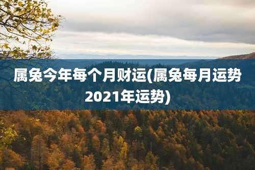 属兔今年每个月财运(属兔每月运势2021年运势)